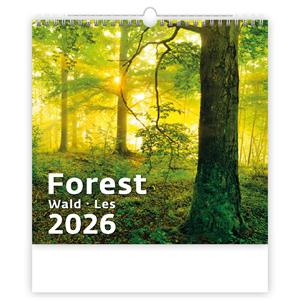 Wall Calendar 2026 - Forest/Wald/Les