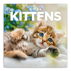 Wall calendar 2026 Kittens