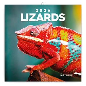 Wall calendar 2026 Lizards