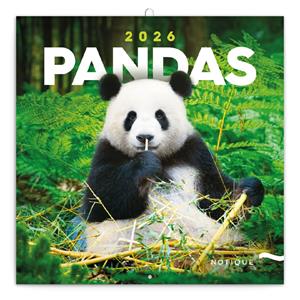 Wall calendar 2026 Pandas