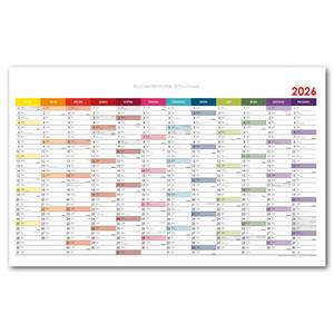 Wall planning map 2026 CZ - 100 x 63 cm - color