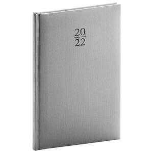 Weekly Diary 2022 A5 Capys - silver