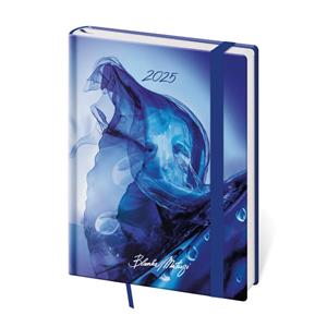 Weekly diary B6 2025 Vario - Matragi Energy with rubber band