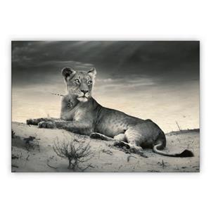 Wooden Picture - Lioness